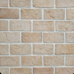 آجر رستیک زرد شاموتی